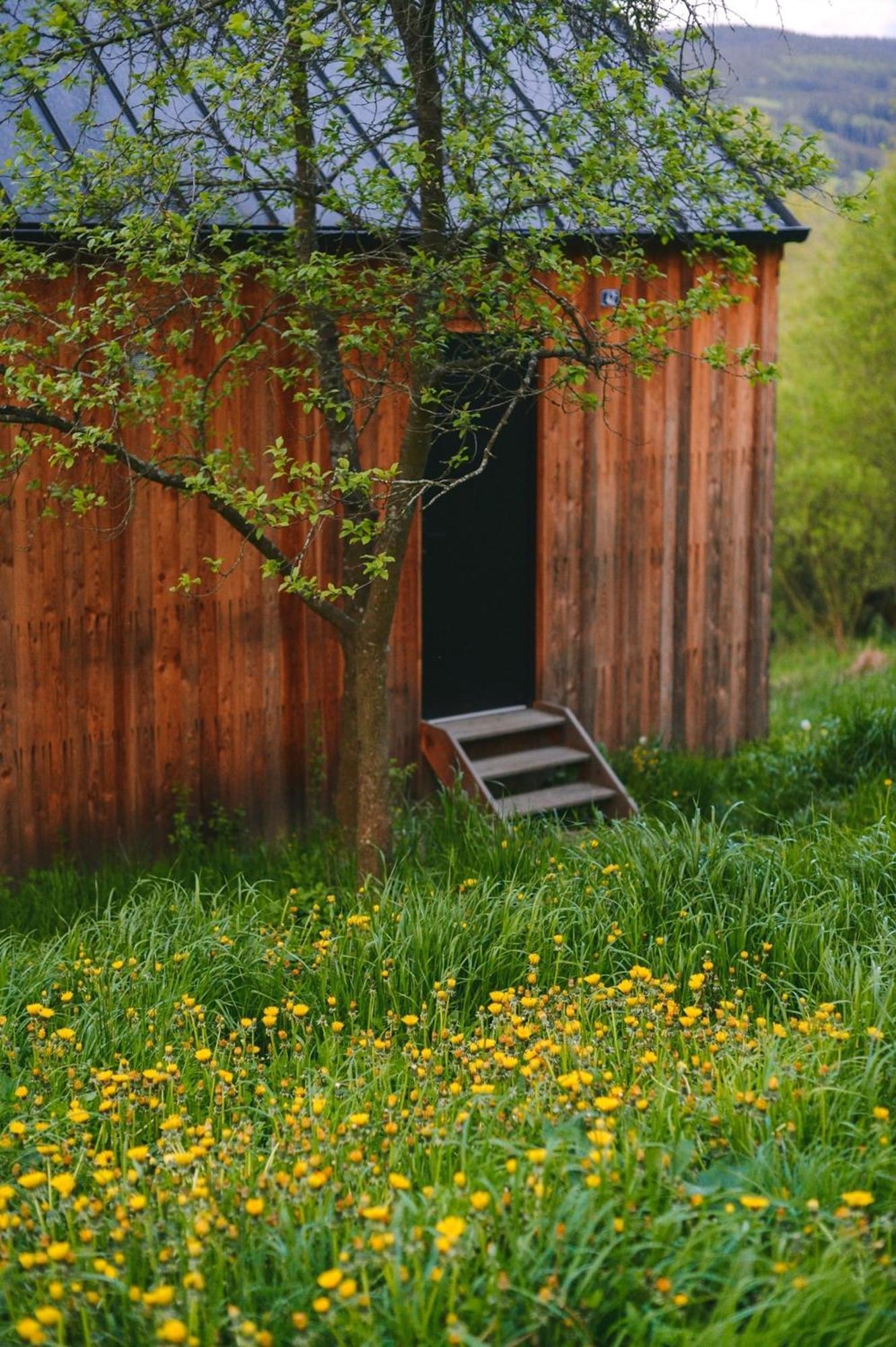 Tri Domky - Tiny Houses Depoltice Esterno foto